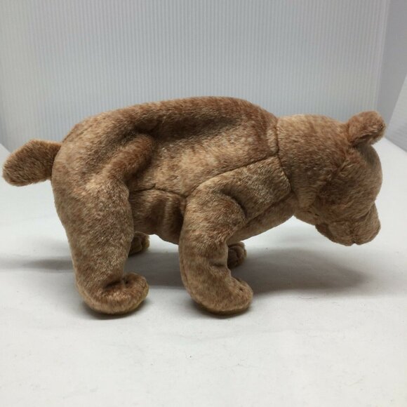 Ty Beanie Baby Pecan Bear Plush Stuffed Animal Retired W Tag April 15 1999 - Picture 5 of 10